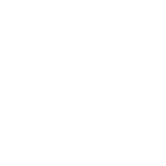 زیبا تجارت زرین عرشیا : 